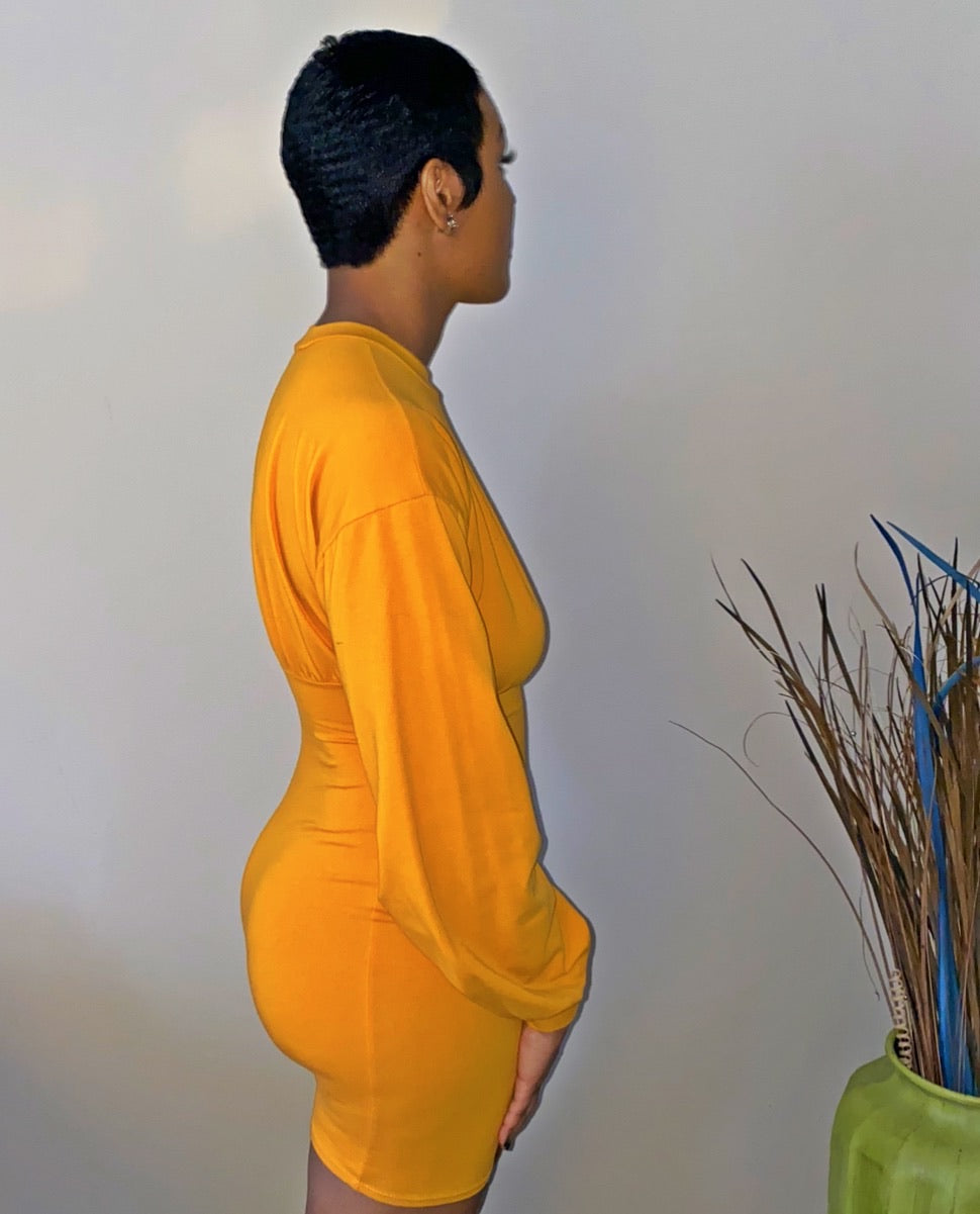 Brittany| Round Neck Long Sleeved Dress